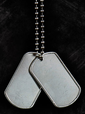 dog tags on a chain - name tags