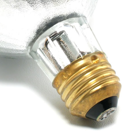 electric light bulb socket