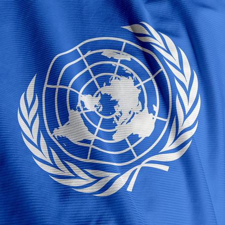 United Nations Flag - Close-up
