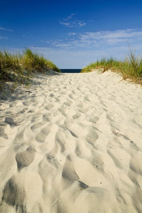 usedom island beach path - germany